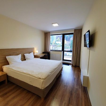 Studio Mountain View Sinaia Eksteriør billede