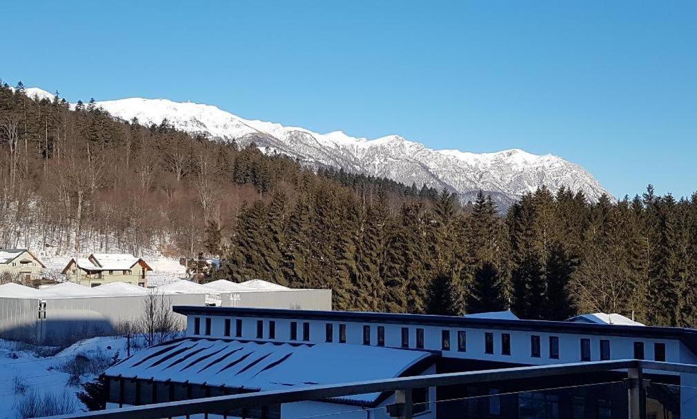 Studio Mountain View Sinaia Eksteriør billede