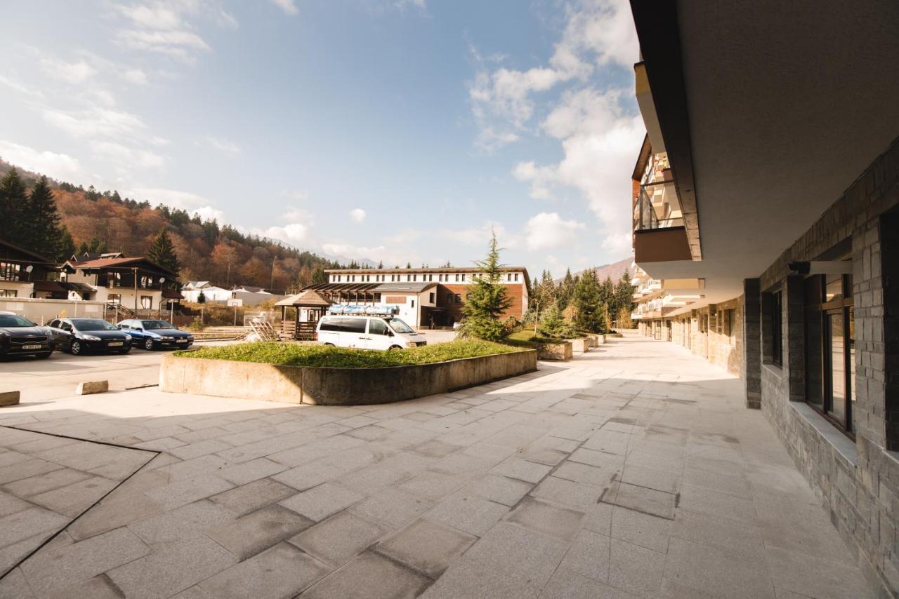 Studio Mountain View Sinaia Eksteriør billede