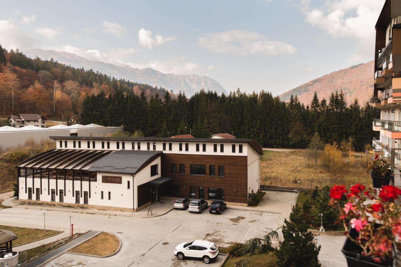 Studio Mountain View Sinaia Eksteriør billede
