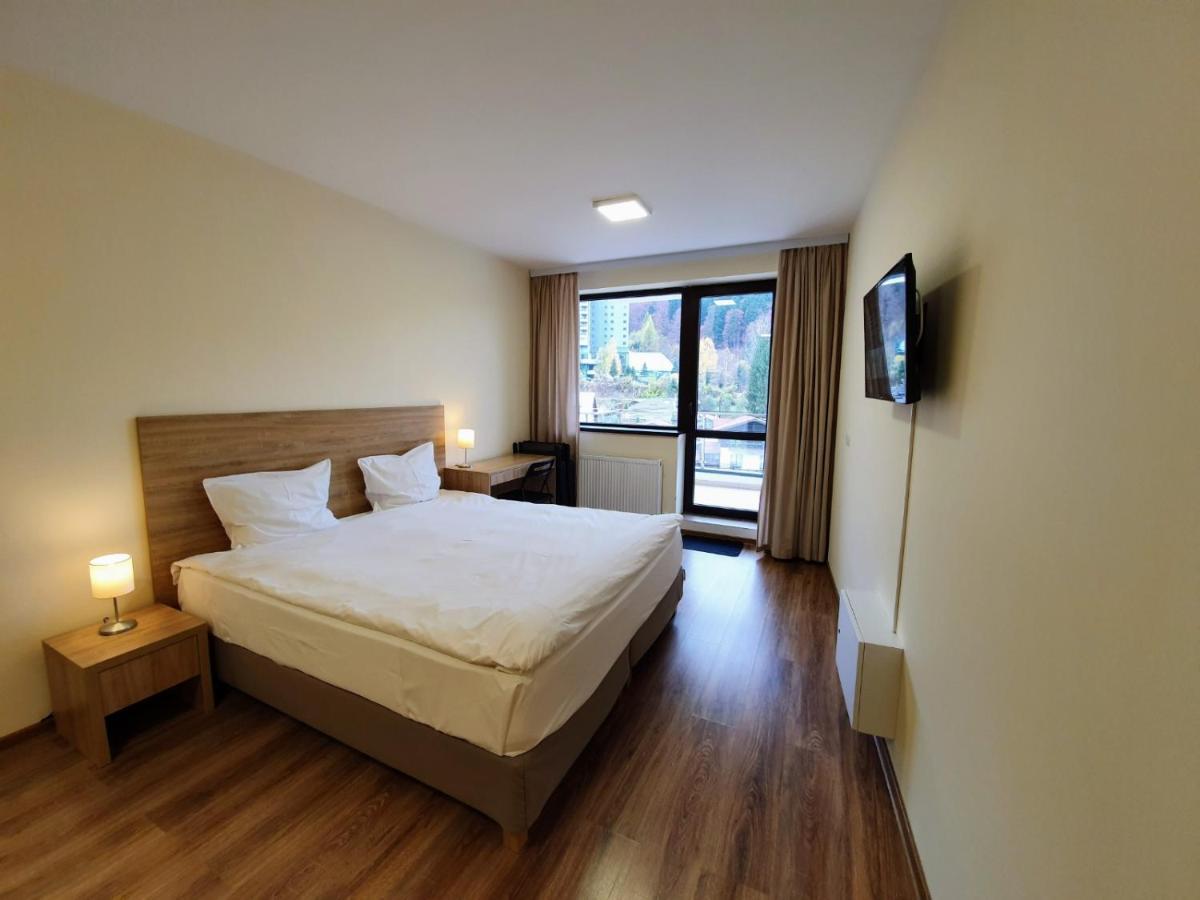 Studio Mountain View Sinaia Eksteriør billede