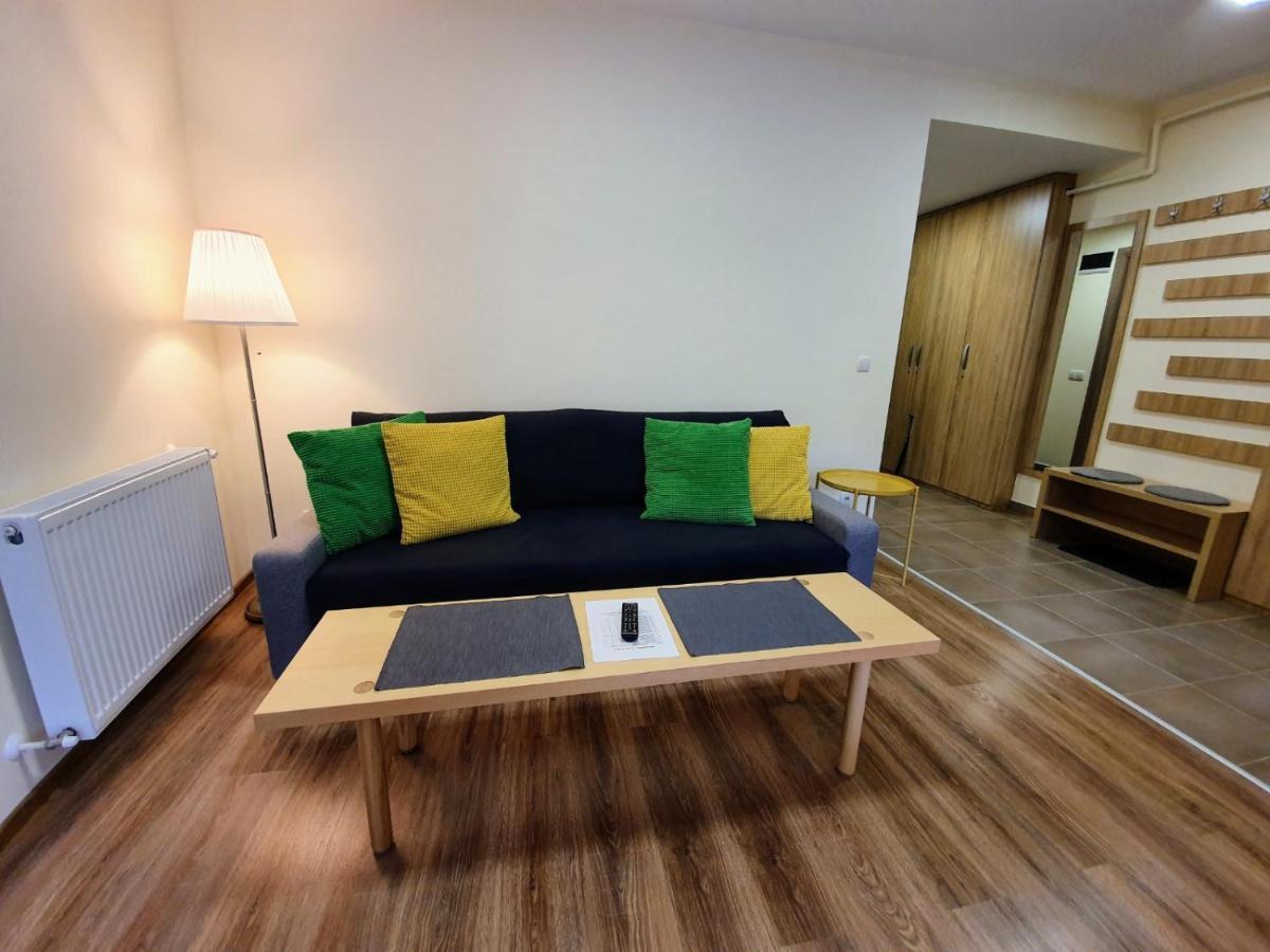 Studio Mountain View Sinaia Eksteriør billede