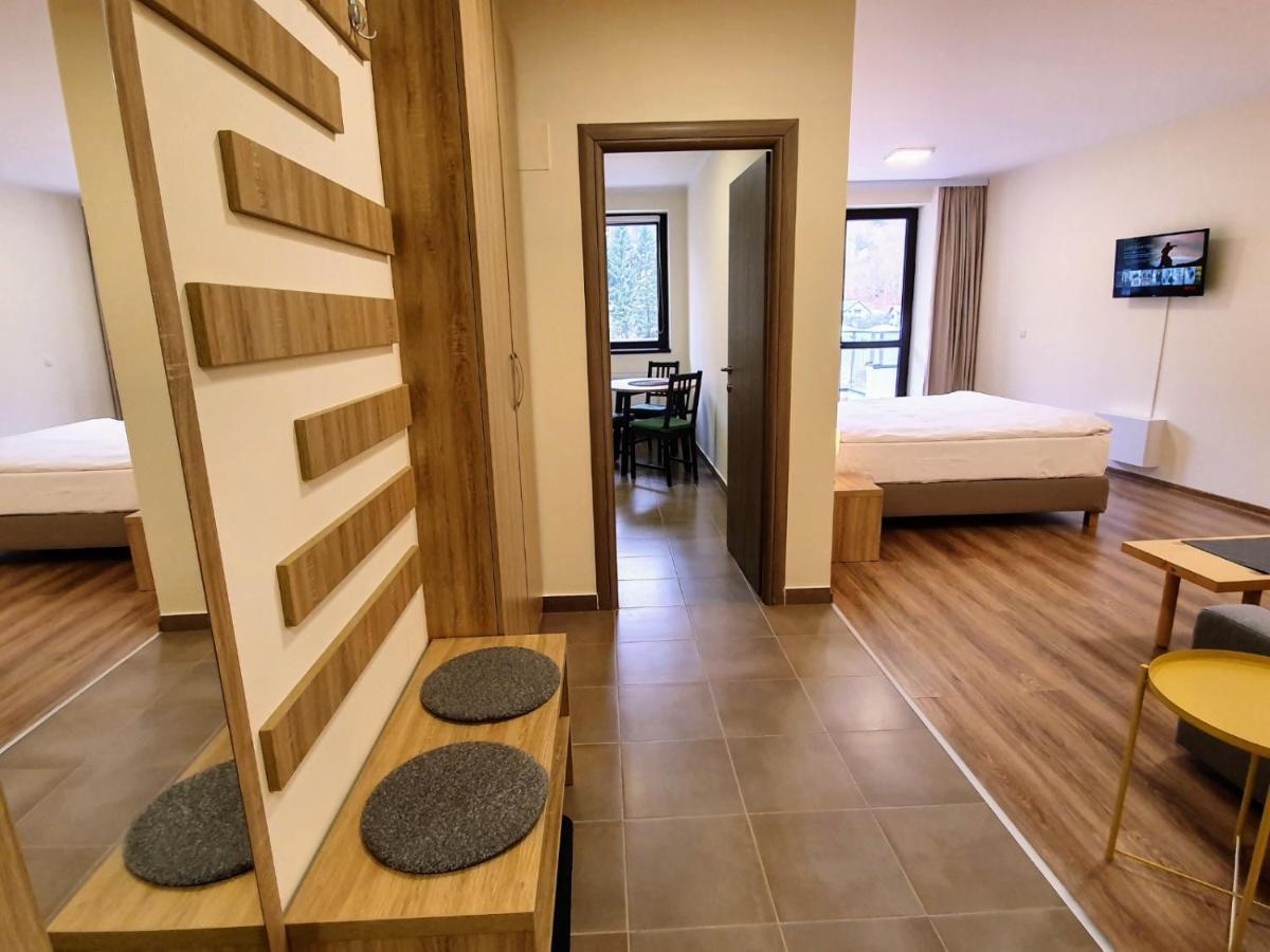 Studio Mountain View Sinaia Eksteriør billede