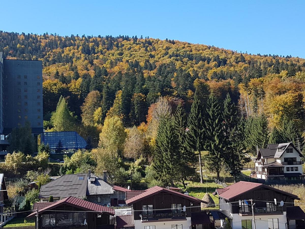 Studio Mountain View Sinaia Eksteriør billede