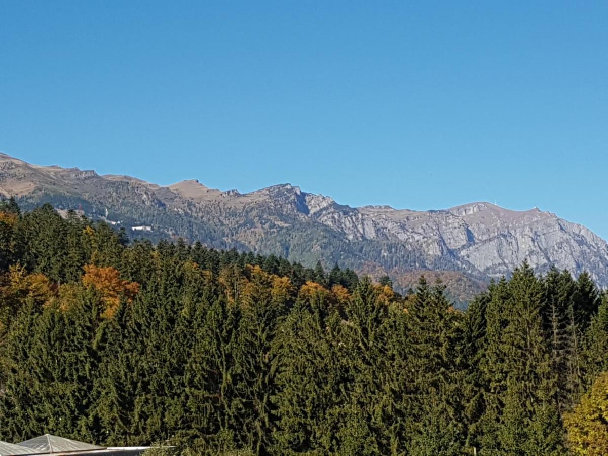 Studio Mountain View Sinaia Eksteriør billede
