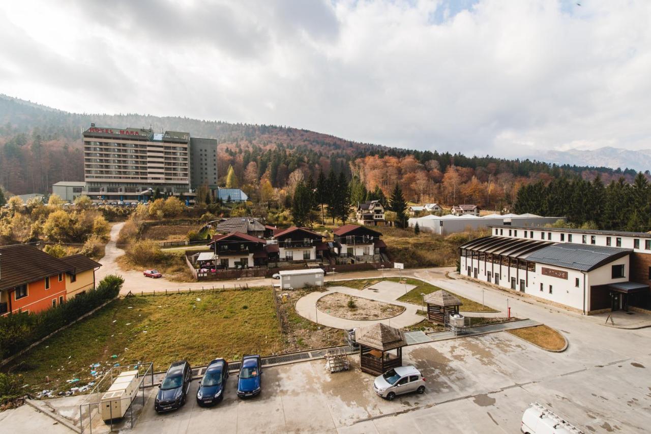 Studio Mountain View Sinaia Eksteriør billede