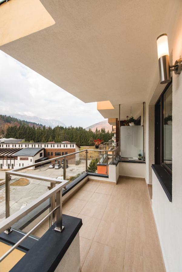 Studio Mountain View Sinaia Eksteriør billede