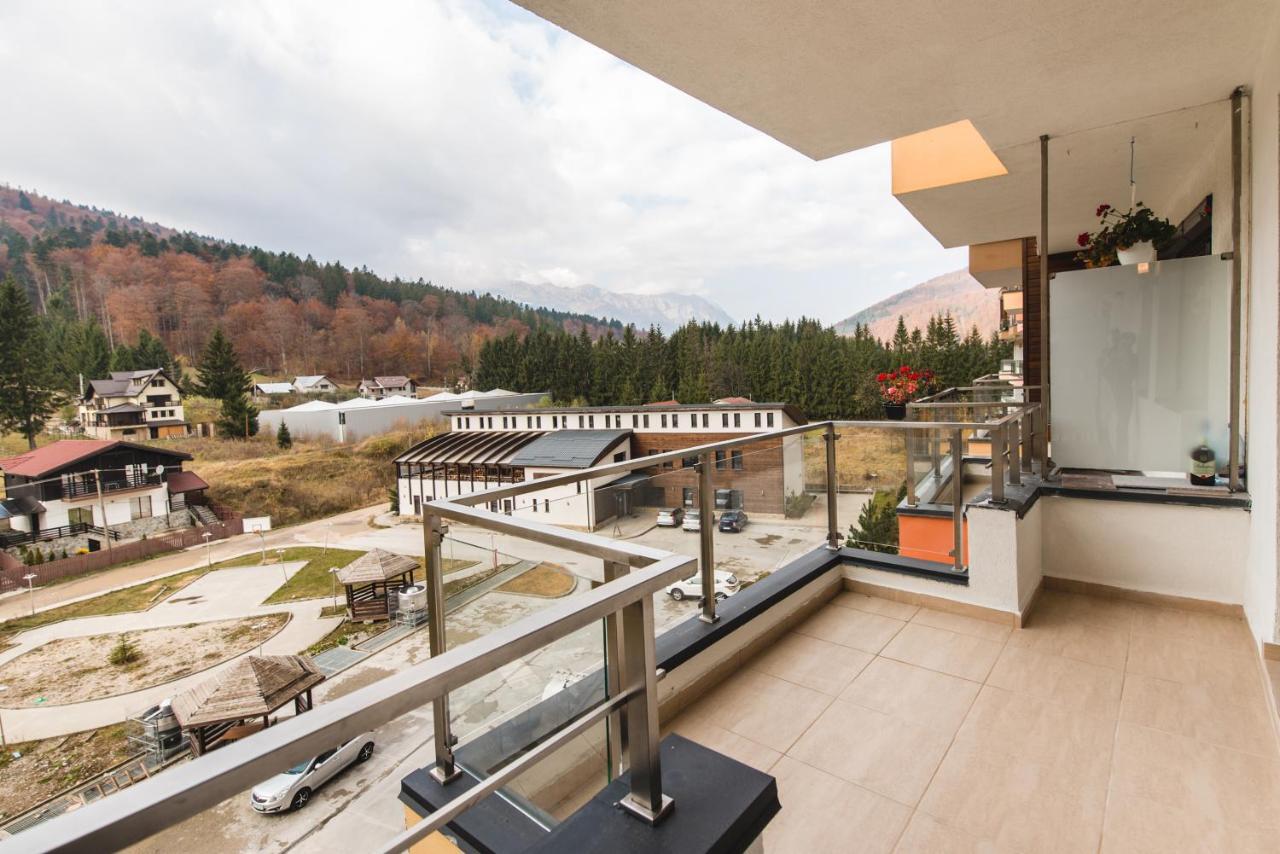 Studio Mountain View Sinaia Eksteriør billede