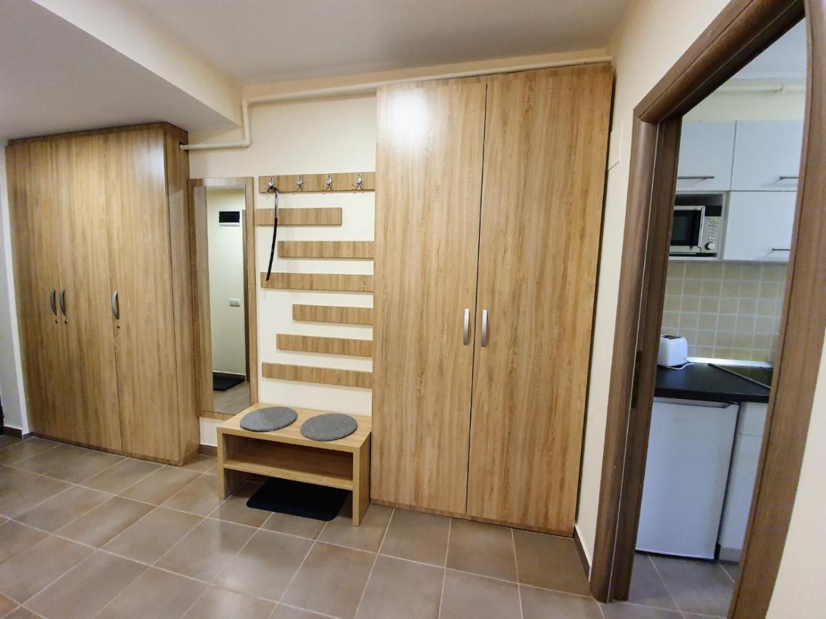 Studio Mountain View Sinaia Eksteriør billede